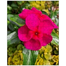 Jigsaw Puzzles 10