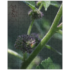 Jigsaw Puzzles 10